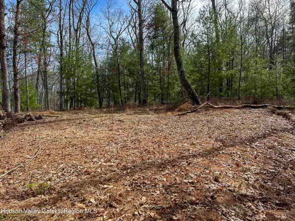 $279,000 | 701 Lapla Road, Marbletown, NY 12401