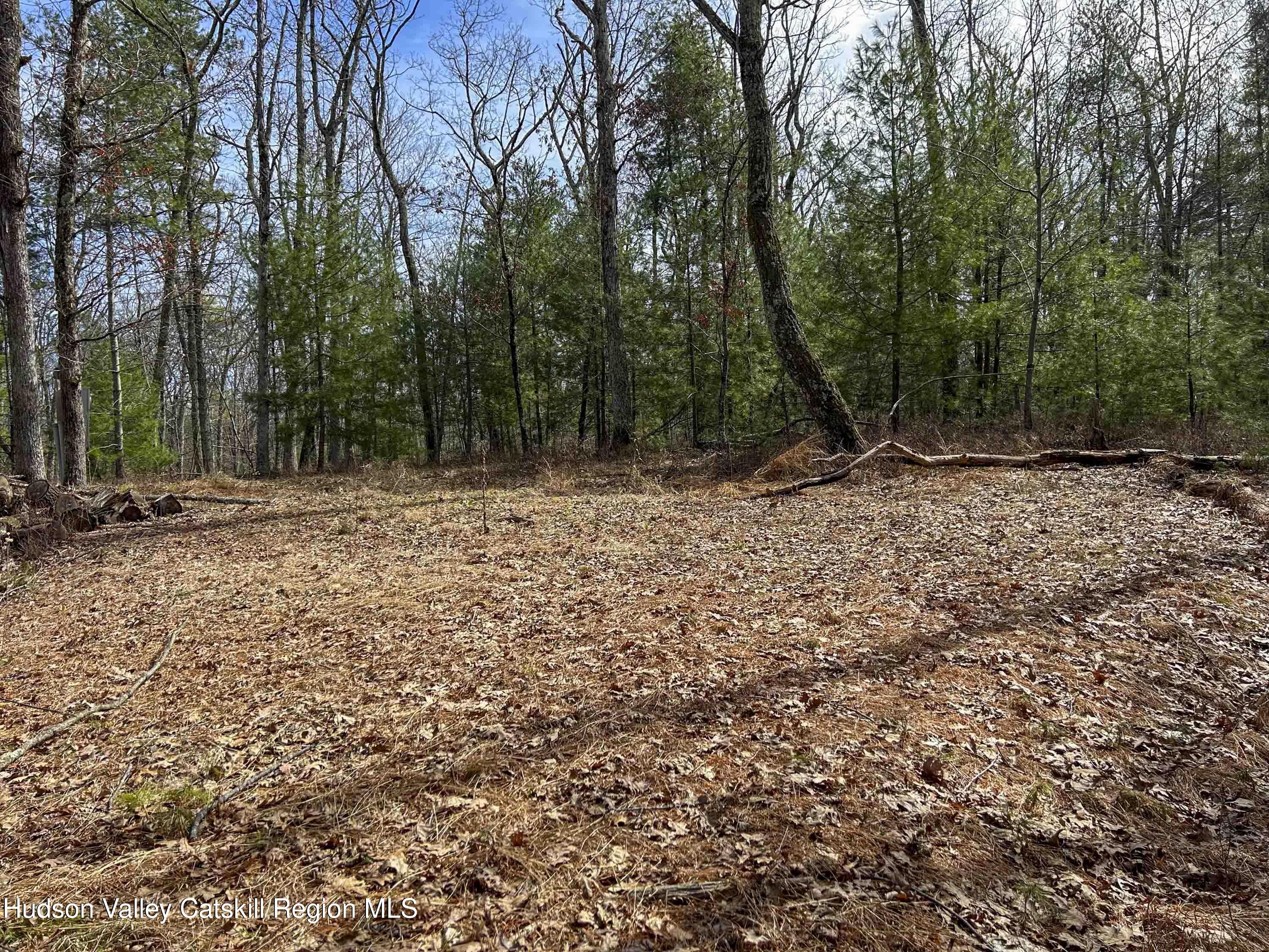 701 Lapla Road Marbletown, NY 12401 - Photo 9 of 26 IMG_8969