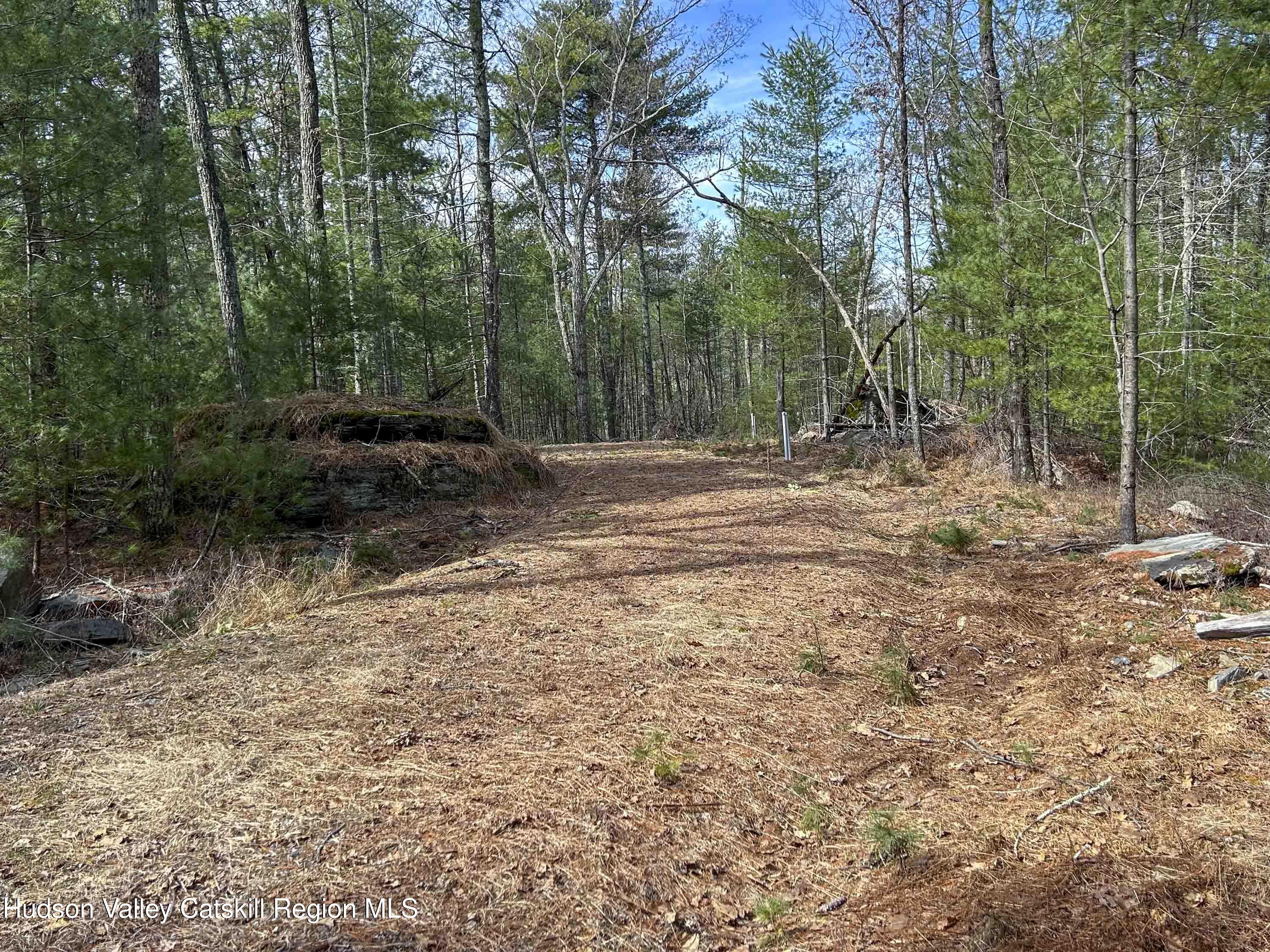701 Lapla Road Marbletown, NY 12401 - Photo 10 of 26 IMG_8972