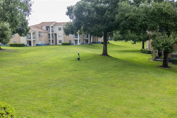 a view of a park with large trees