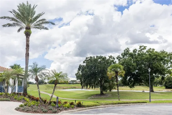 a view of a palm trees and a big yard with a fountain