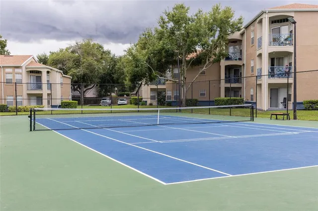 a view of a tennis ground with large trees