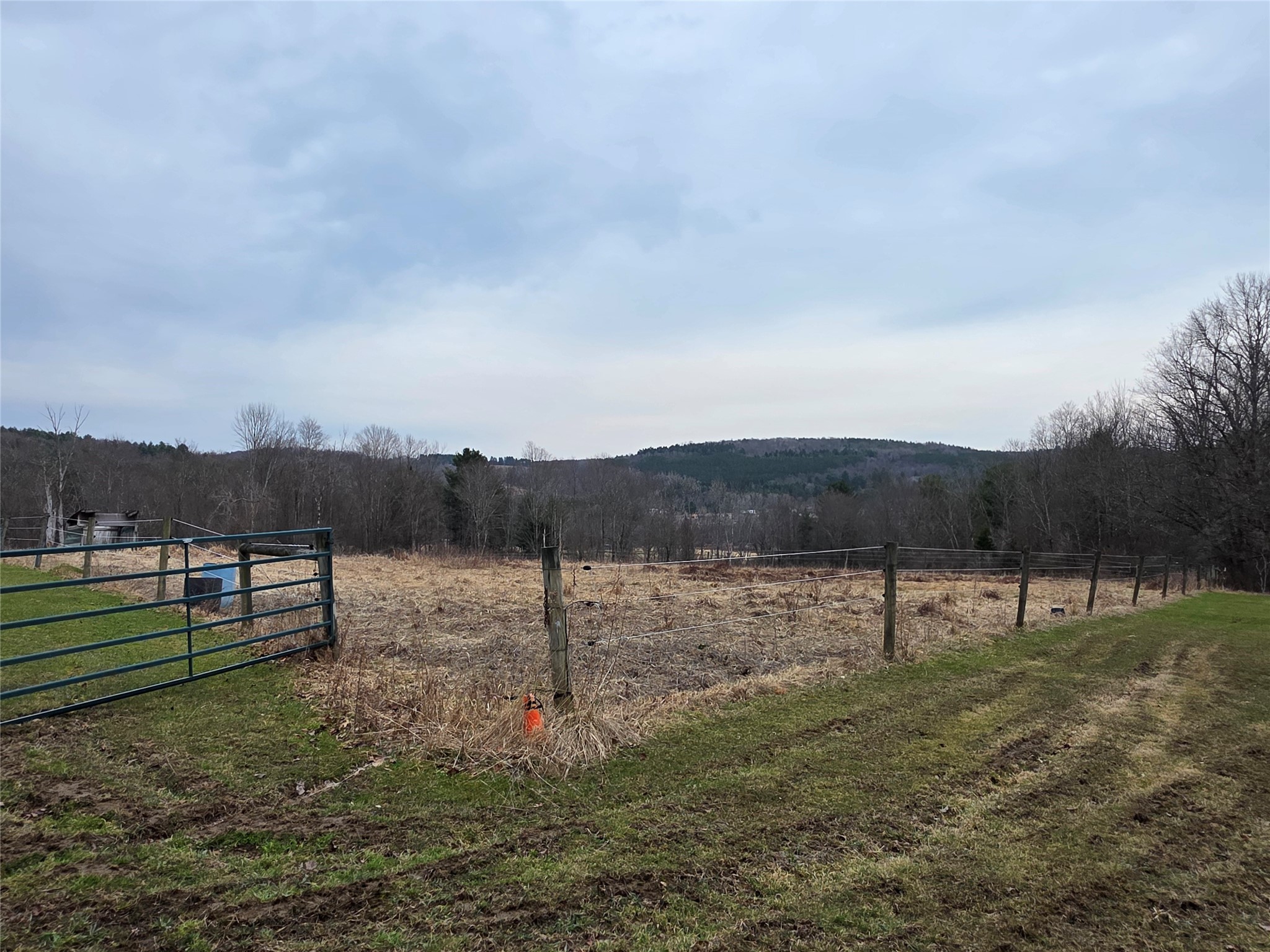 514 Crumtown Road Spencer, NY 14883 - Photo 37 of 49