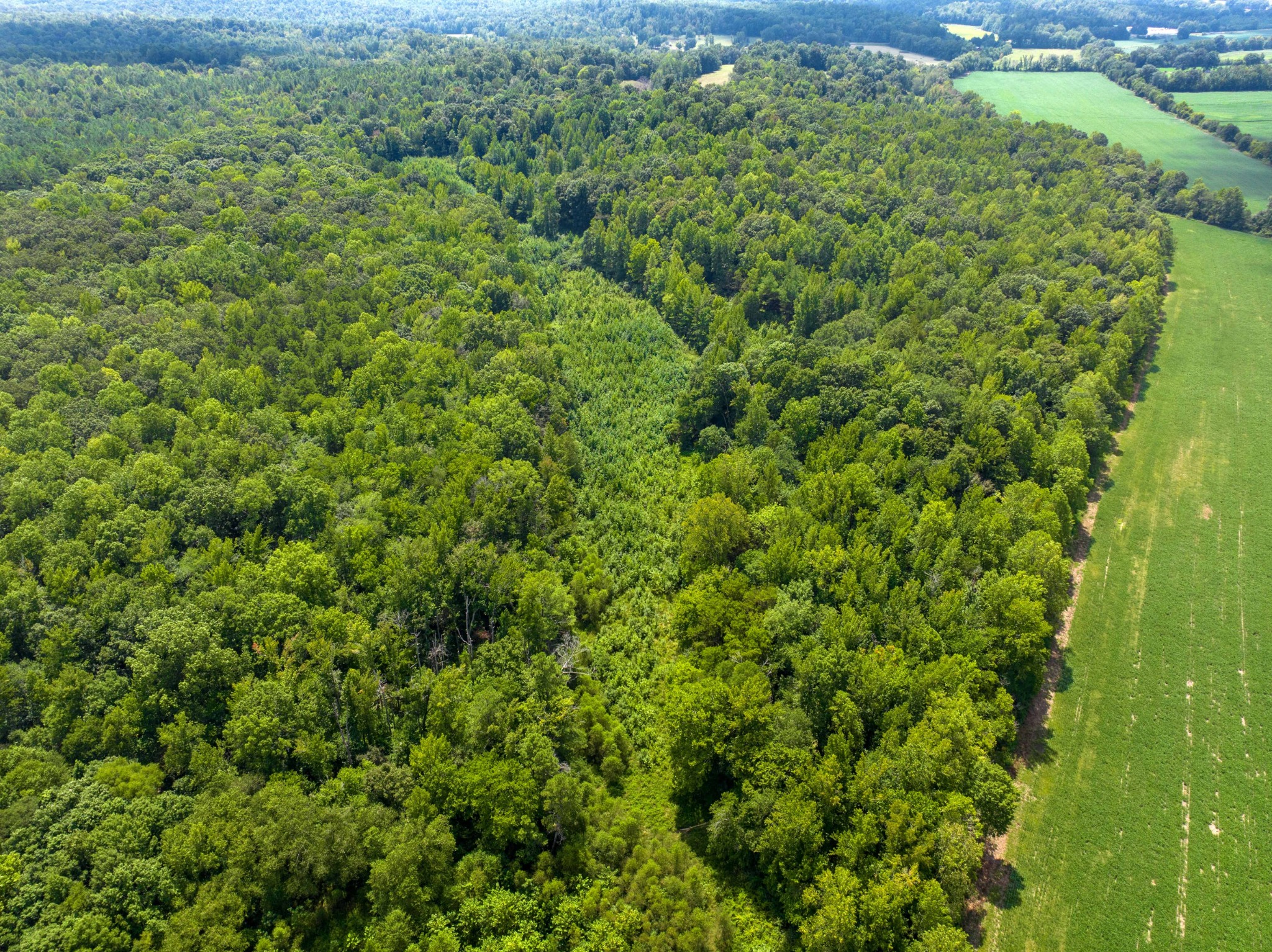 0 Mt Zion Road Decaturville, TN 38329 - Photo 14 of 26 Gallery Image 14