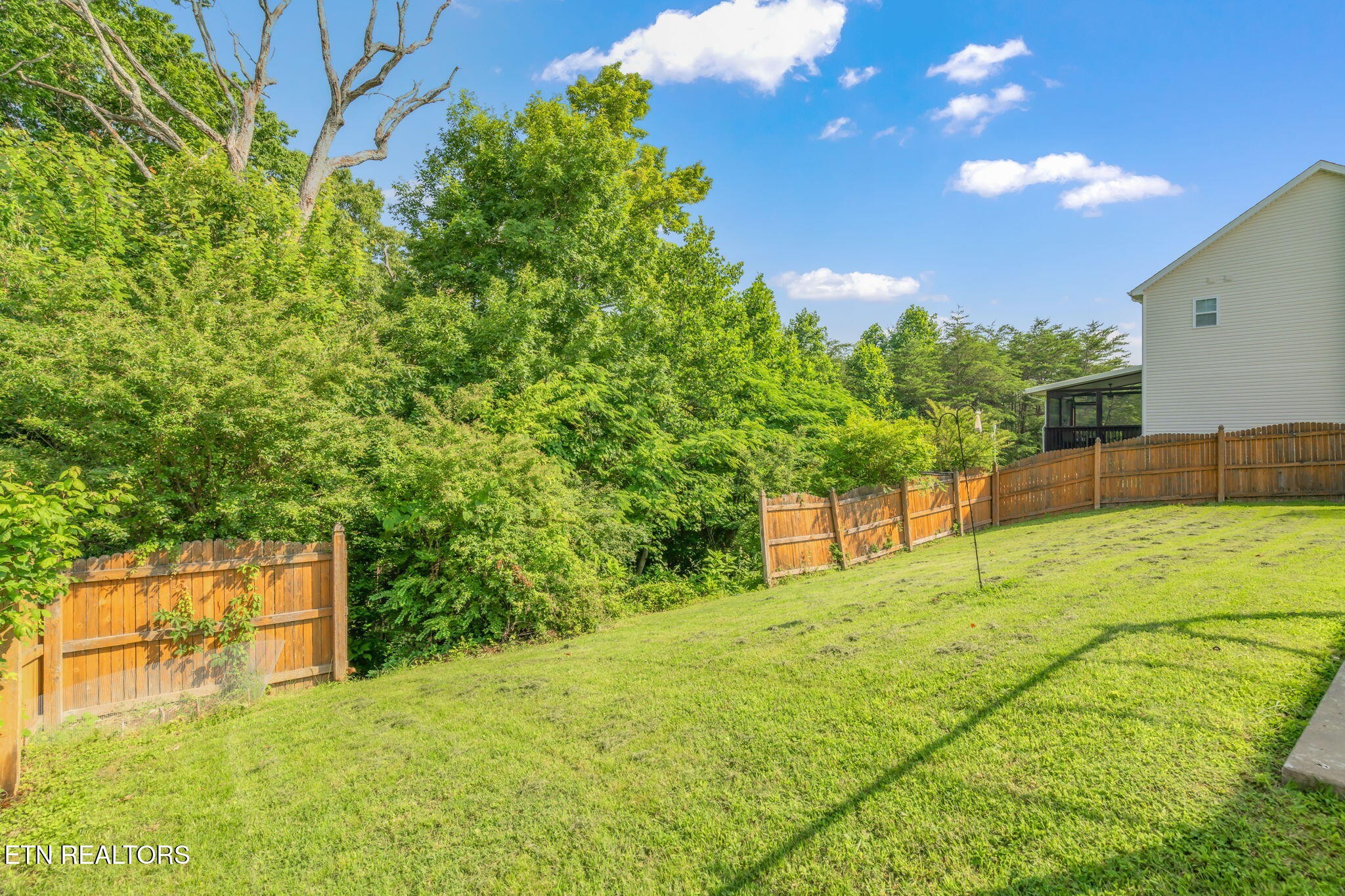 8431 Vessel Lane Powell, TN 37849 - Photo 41 of 46 a view of yard with tree