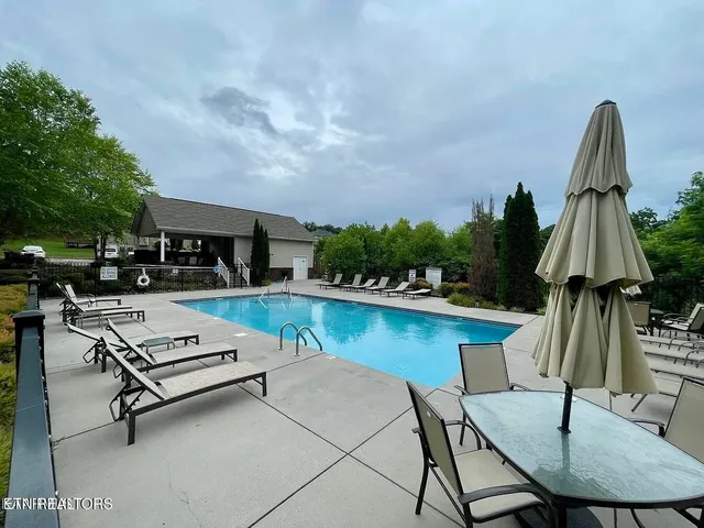 a view of a swimming pool with outdoor seating and plants