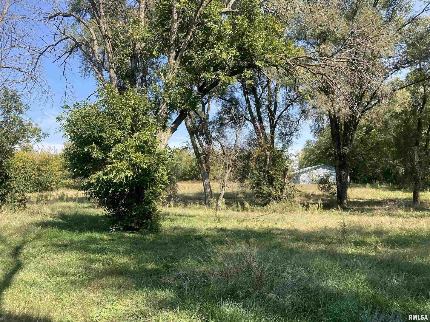 28597 Ropp Road Geneseo, IL 61254 - Photo 20 of 25 a view of backyard with tree