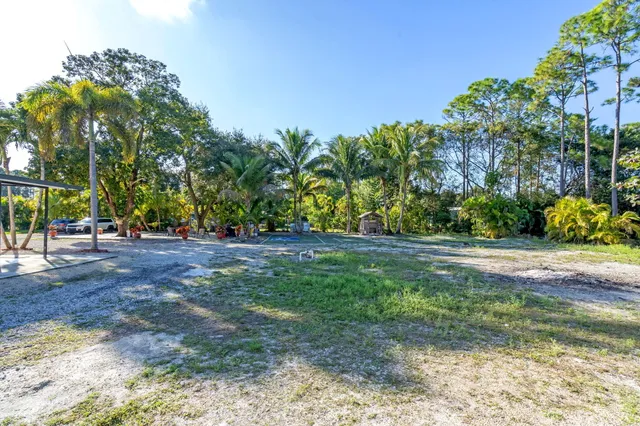 a view of a flower in a garden