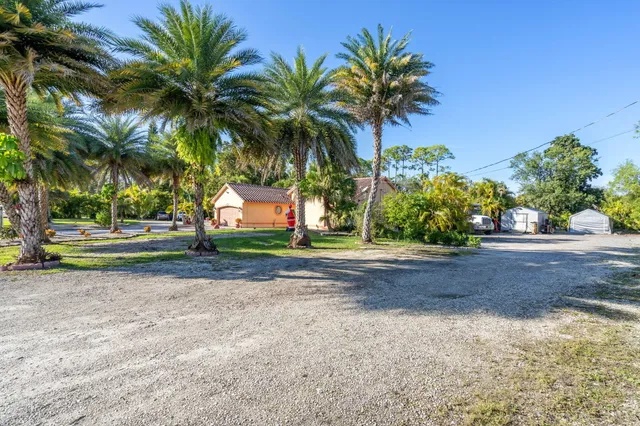 a palm tree sitting in front of a house with a yard