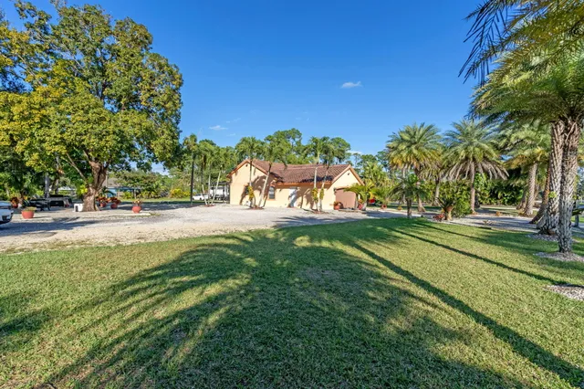 a view of a park with palm trees