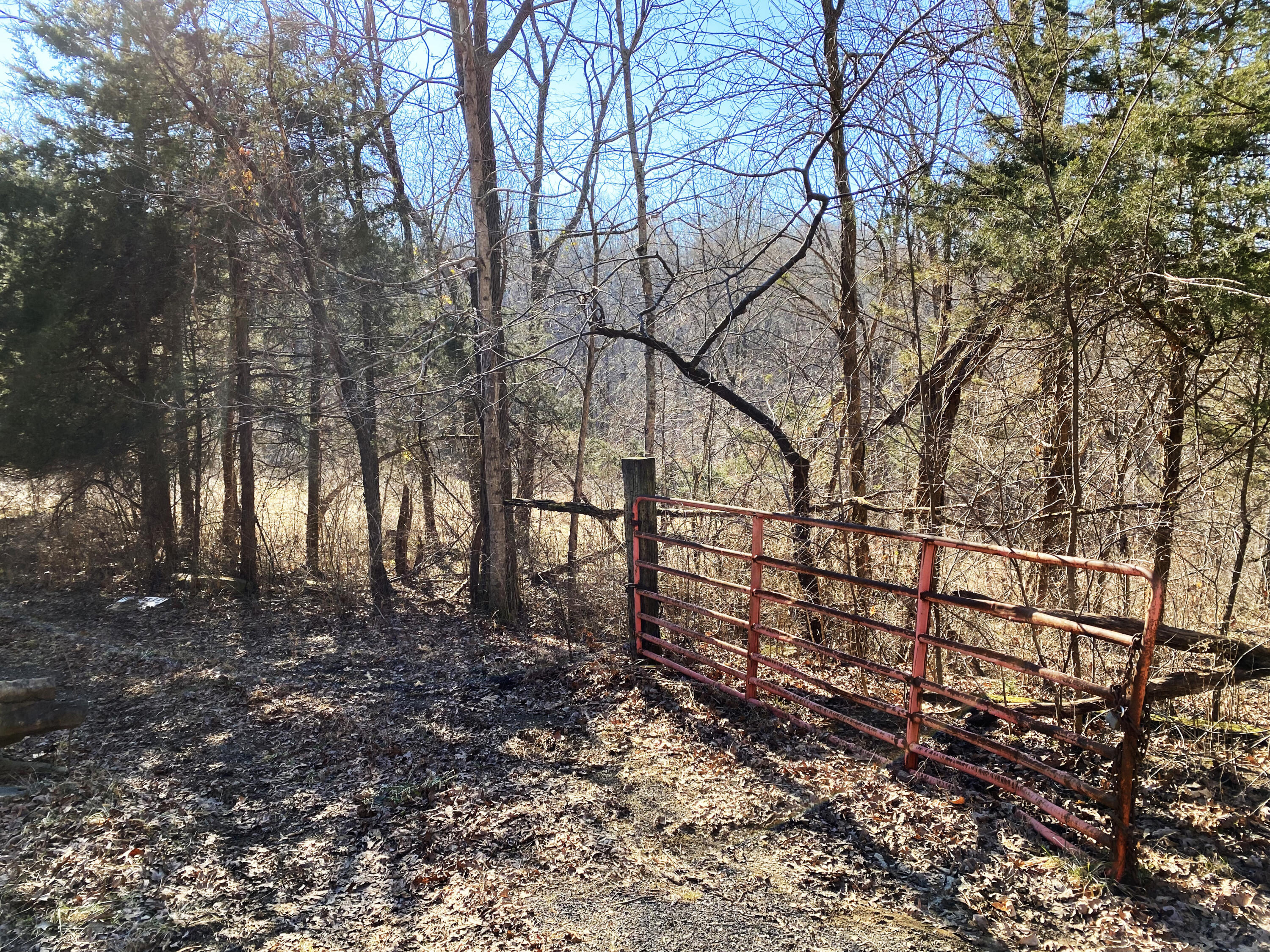 9999 Wagers Mountain Road Ravenna, KY 40472 - Photo 23 of 50 Gated!