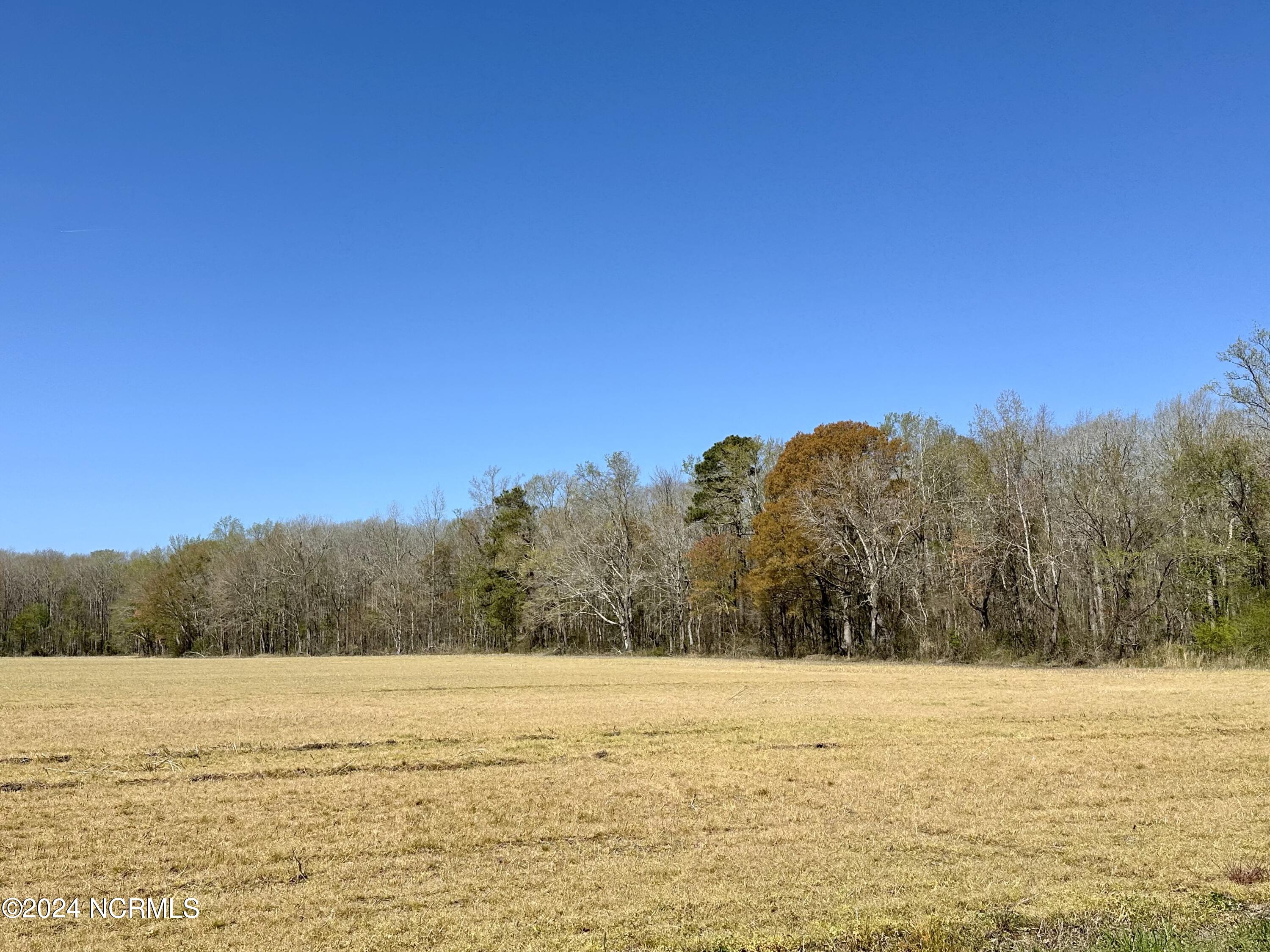 3636 Davenport Forks Road Roper, NC 27970 - Photo 4 of 10 IMG_7060