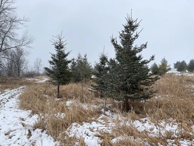 $155,000 | Elder Drive, Unit 2, Algoma, WI 54201