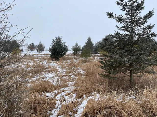 $155,000 | Elder Drive, Unit 2, Algoma, WI 54201