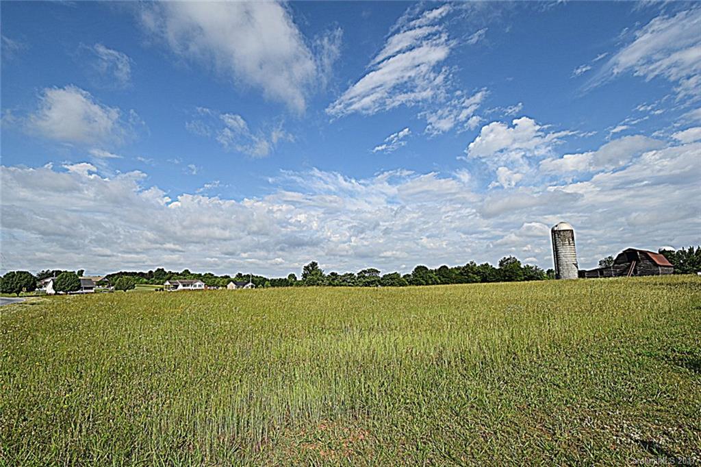 931 Buffalo Shoals Road Lincolnton, NC 28092 - Photo 3 of 24 Gallery Image 3