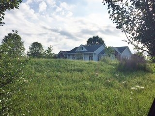275 Dahl Road Monticello, FL 32344 - Photo 2 of 18 Gallery Image 2