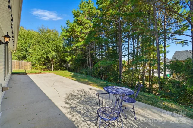 a view of a yard with plants and trees