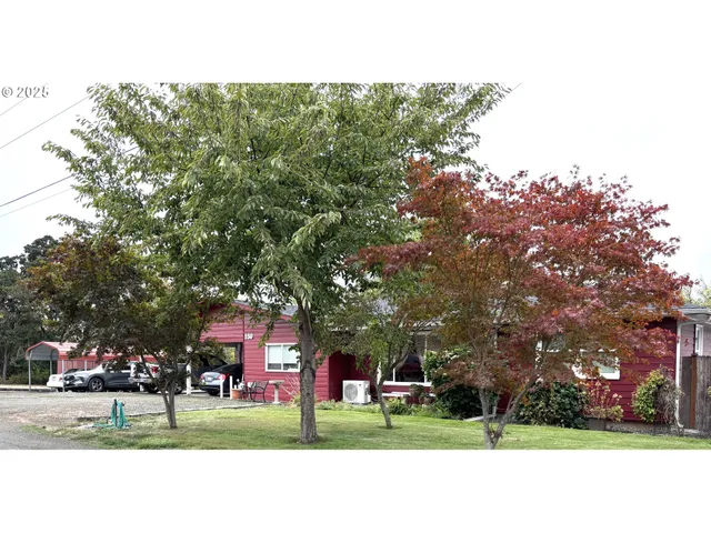 a building outdoor space with couple of trees