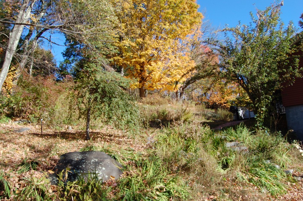 175 High Road Hardwick, MA 01031 - Photo 10 of 10 a view of a yard with plants and large trees