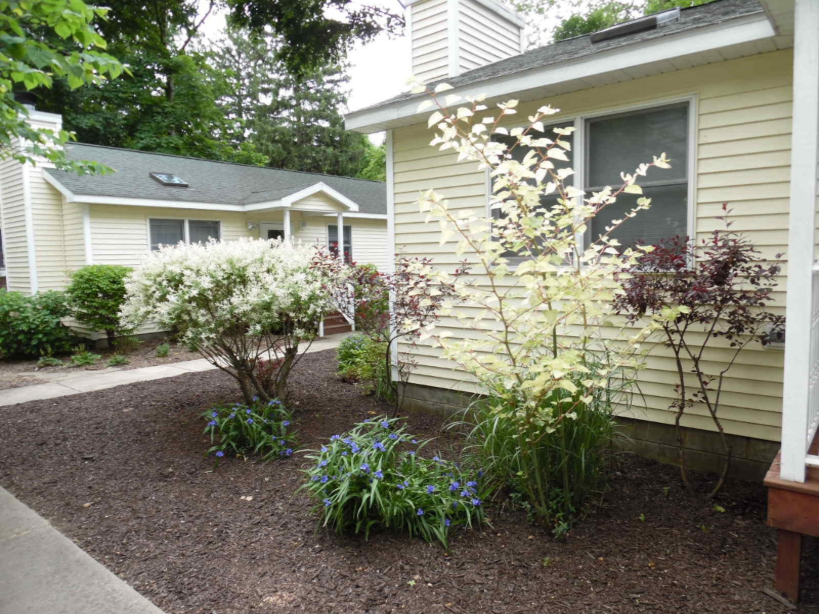 15931 Lakeshore Road Three Oaks, MI 49128 - Photo 8 of 9 SAM_0122
