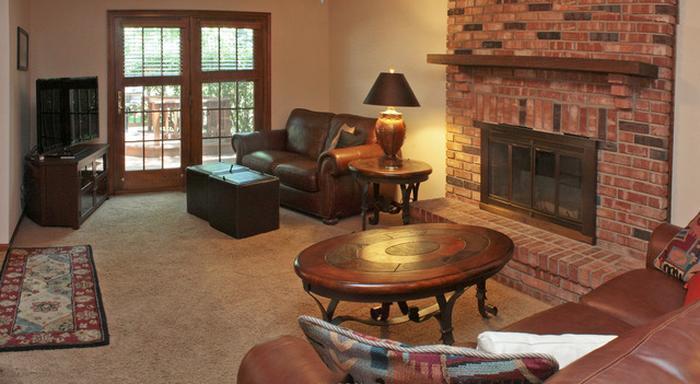 1636 Fender Road Naperville, IL 60565 - Photo 6 of 20 a living room with furniture a fireplace and a floor to ceiling window