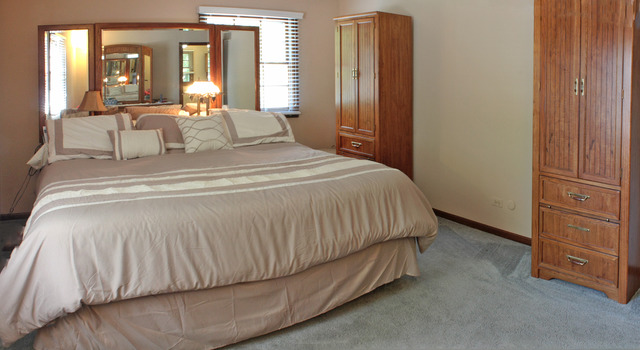 1636 Fender Road Naperville, IL 60565 - Photo 9 of 20 a bedroom with a bed and a dresser