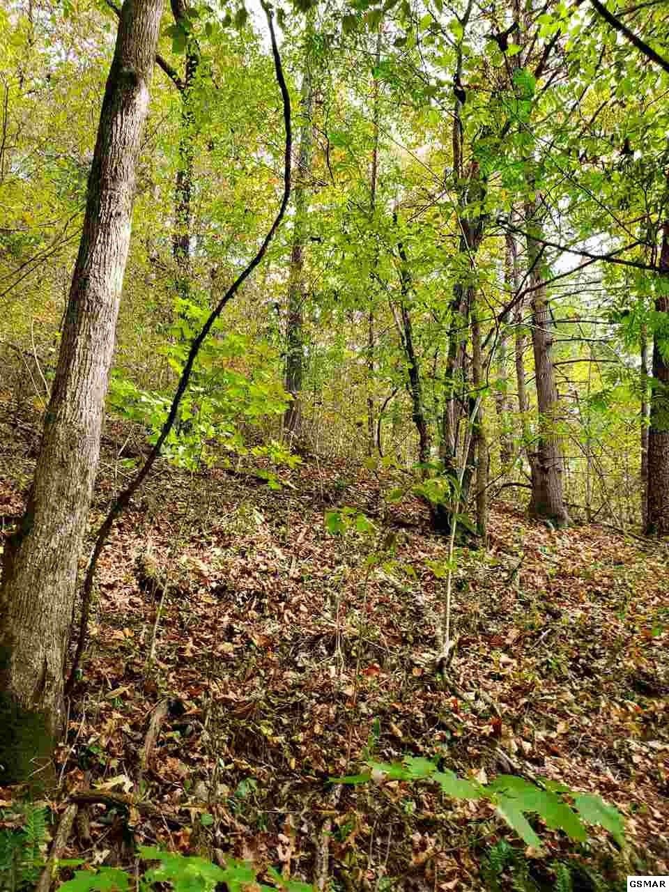 0 Shell Mountain Road Sevierville, TN 37876 - Photo 28 of 35