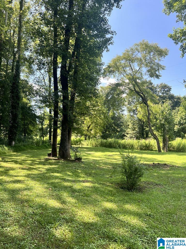 478 Ledbetter Road Anniston, AL 36201 - Photo 17 of 20