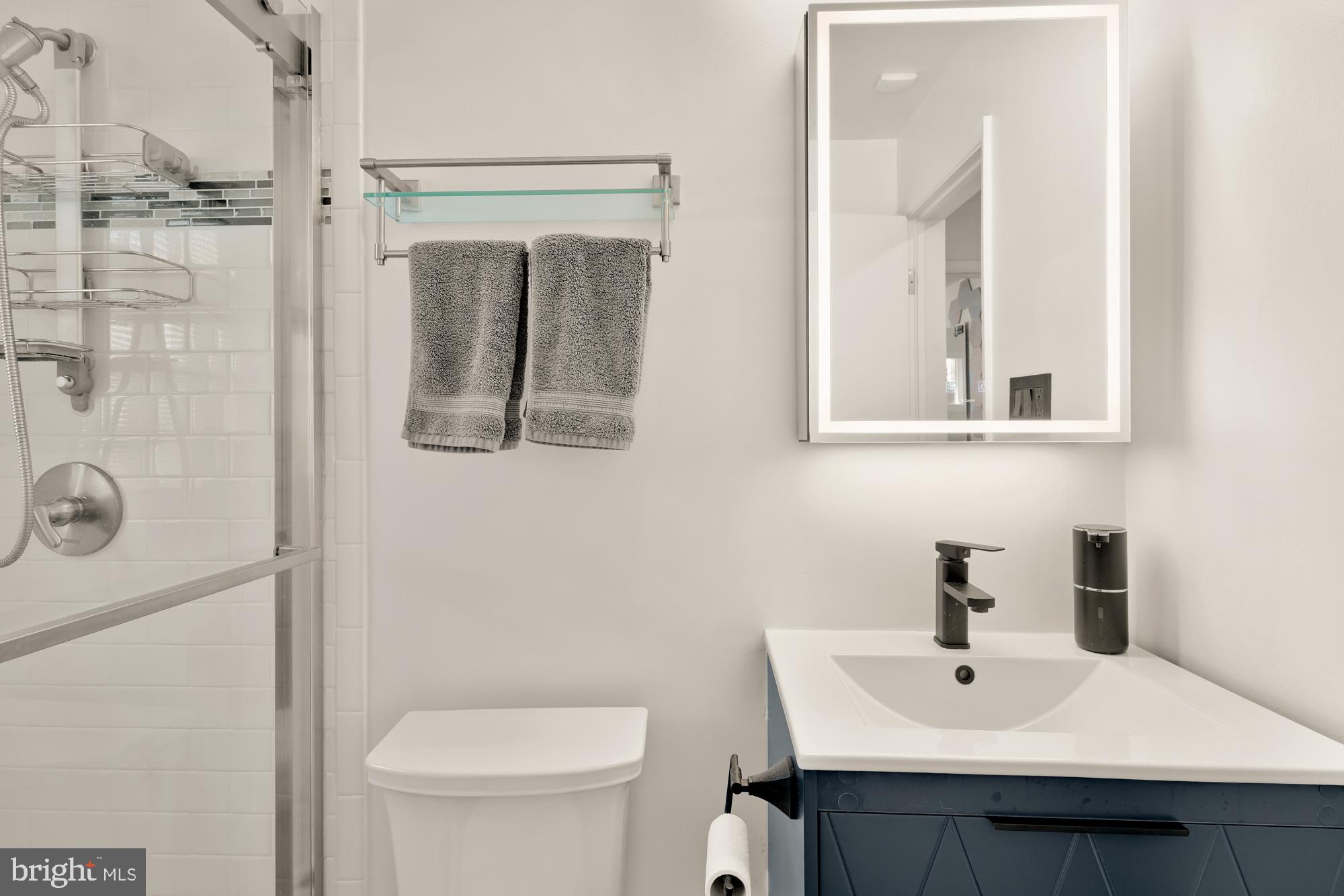 1736 Overlook Drive Silver Spring, MD 20903 - Photo 32 of 42 a bathroom with a sink a toilet and shower