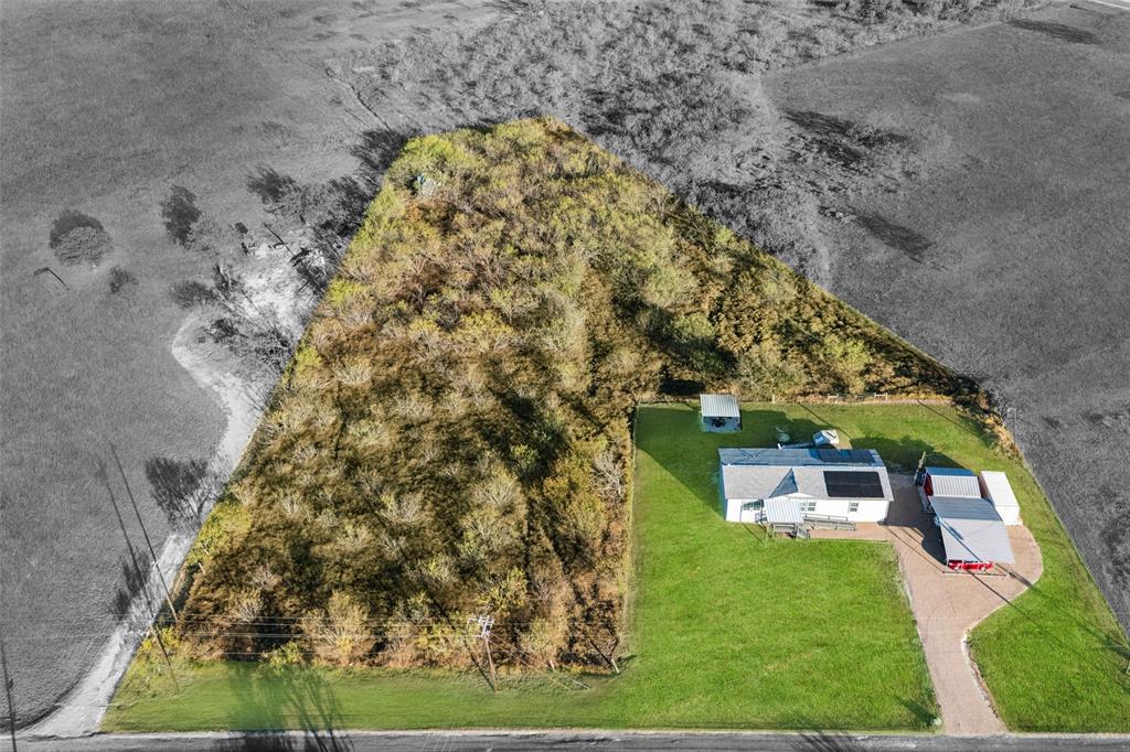 view of a yard with plants