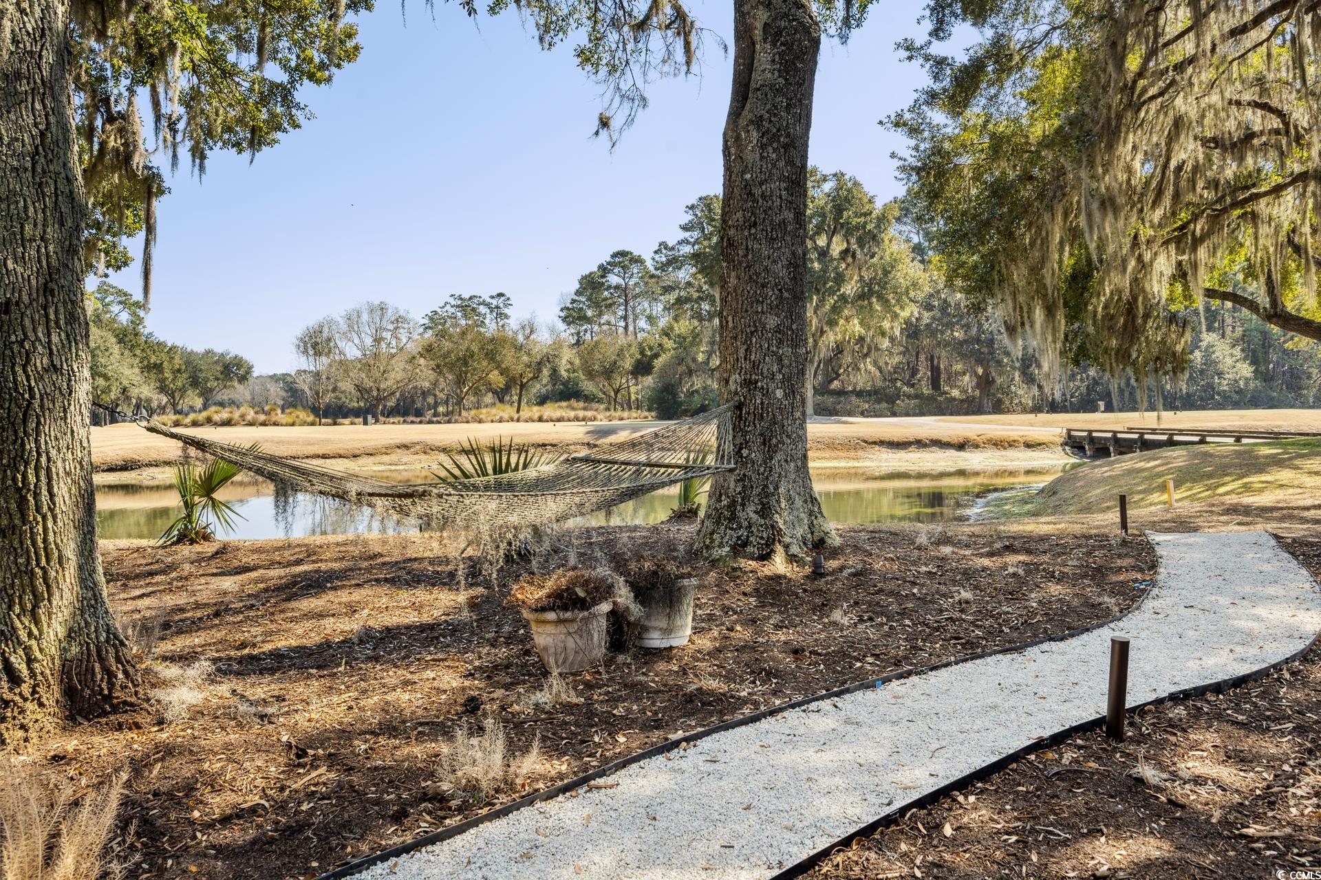 1046 Wallace Pate Drive Georgetown, SC 29440 - Photo 36 of 40
