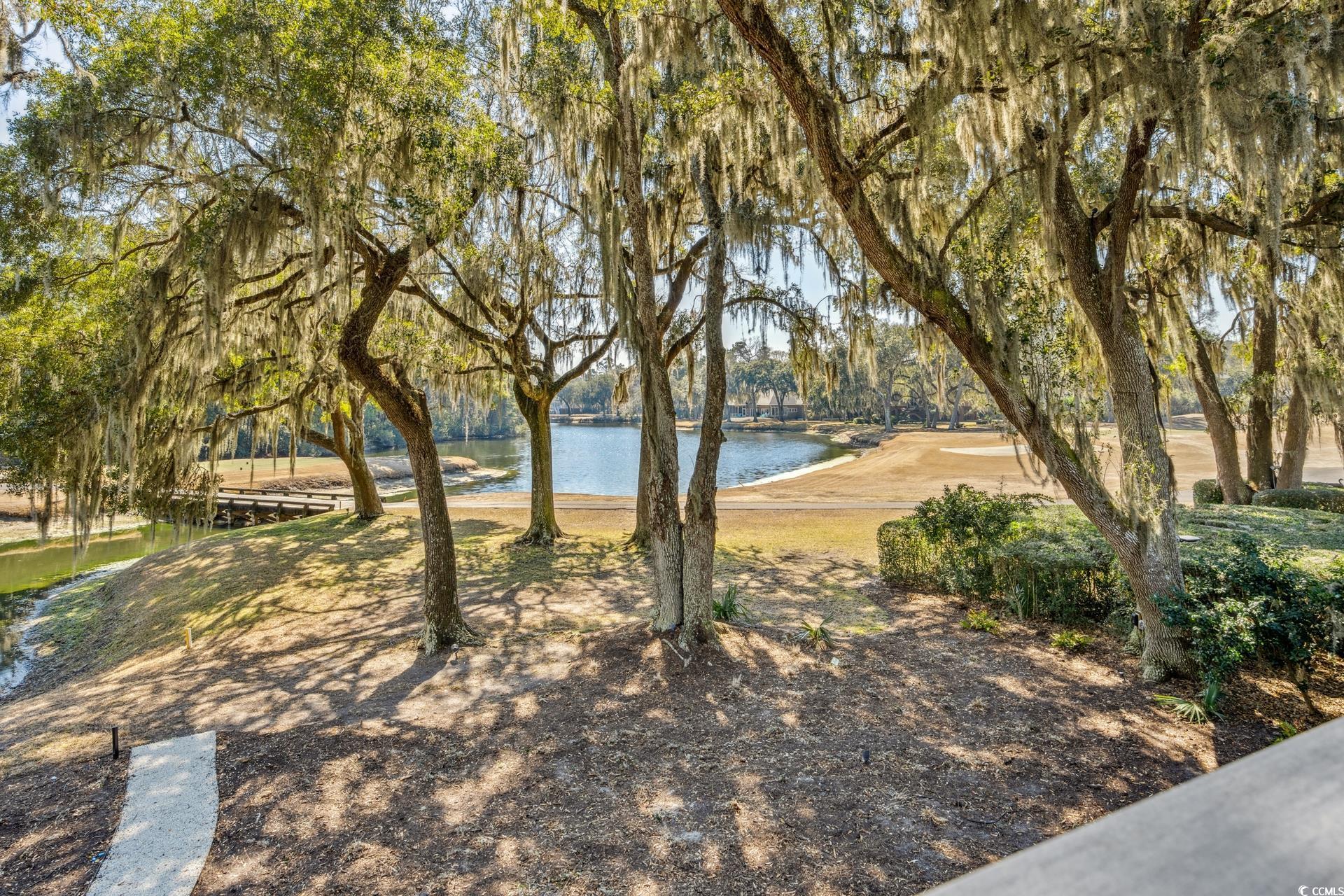 1046 Wallace Pate Drive Georgetown, SC 29440 - Photo 37 of 40