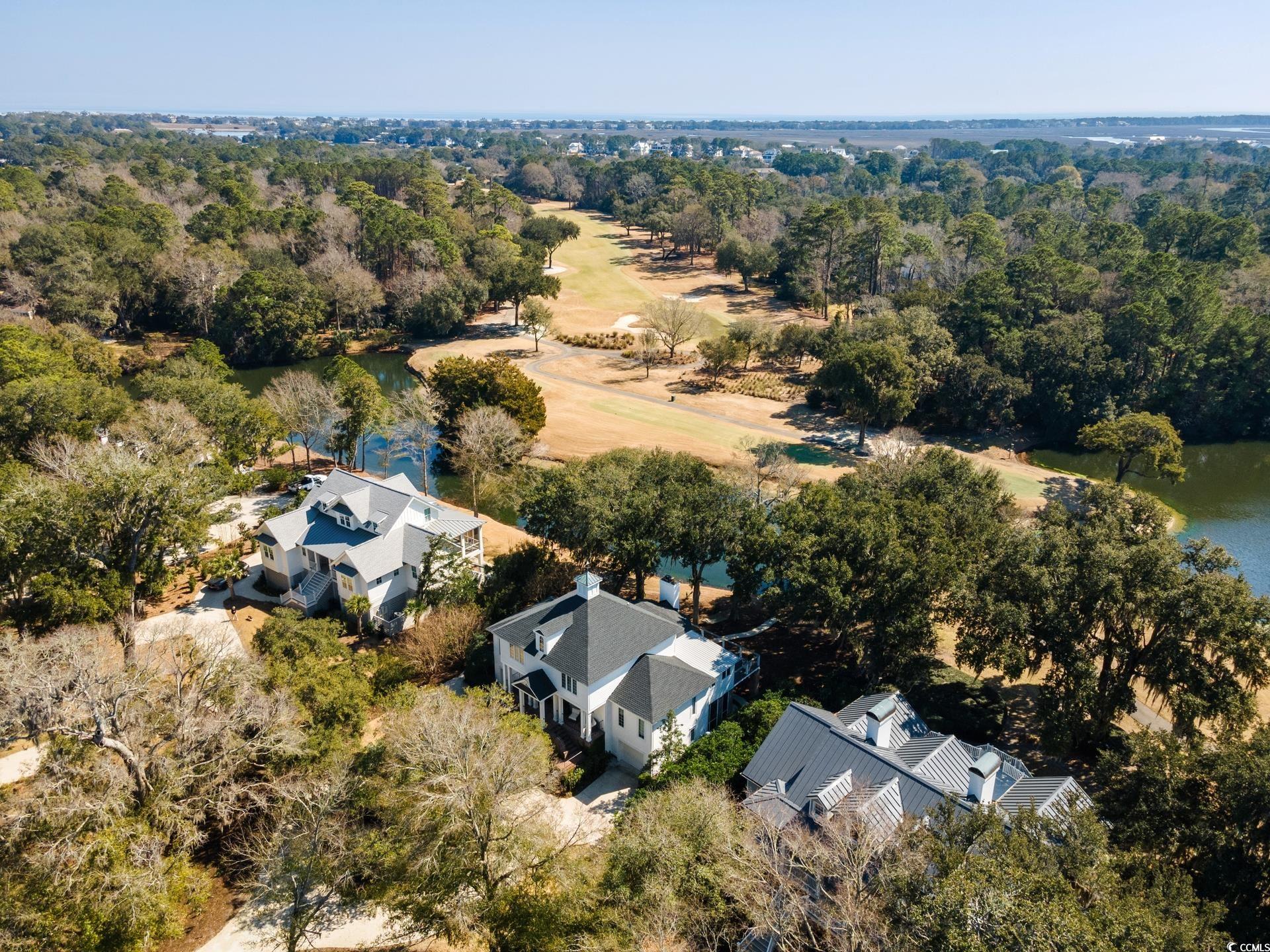 1046 Wallace Pate Drive Georgetown, SC 29440 - Photo 38 of 40