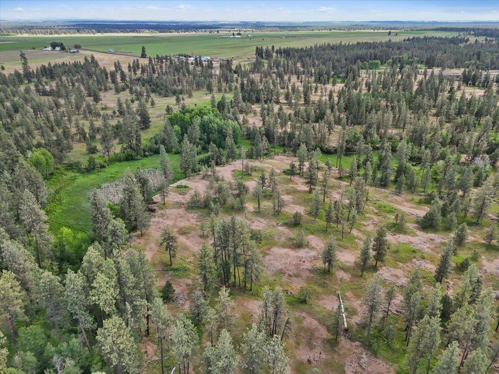 Nka South Malloy Prairie Road, Unit PARCEL B 03032 9049 Cheney, WA 99004 - Photo 4 of 8