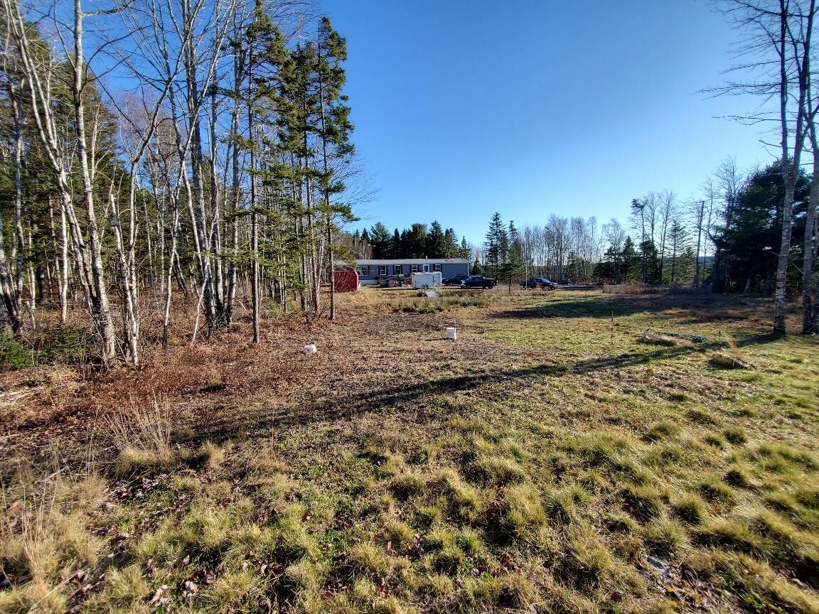 818 Station Road Jonesboro, ME 04648 - Photo 3 of 35 from up in the field