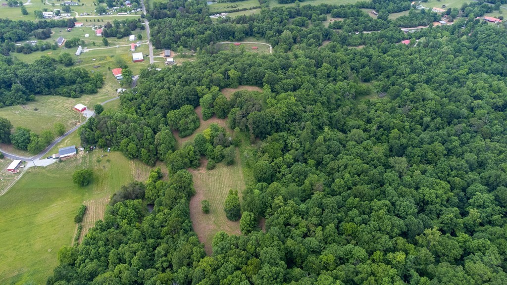 0 Rhodes Road New Market, TN 37820 - Photo 7 of 16