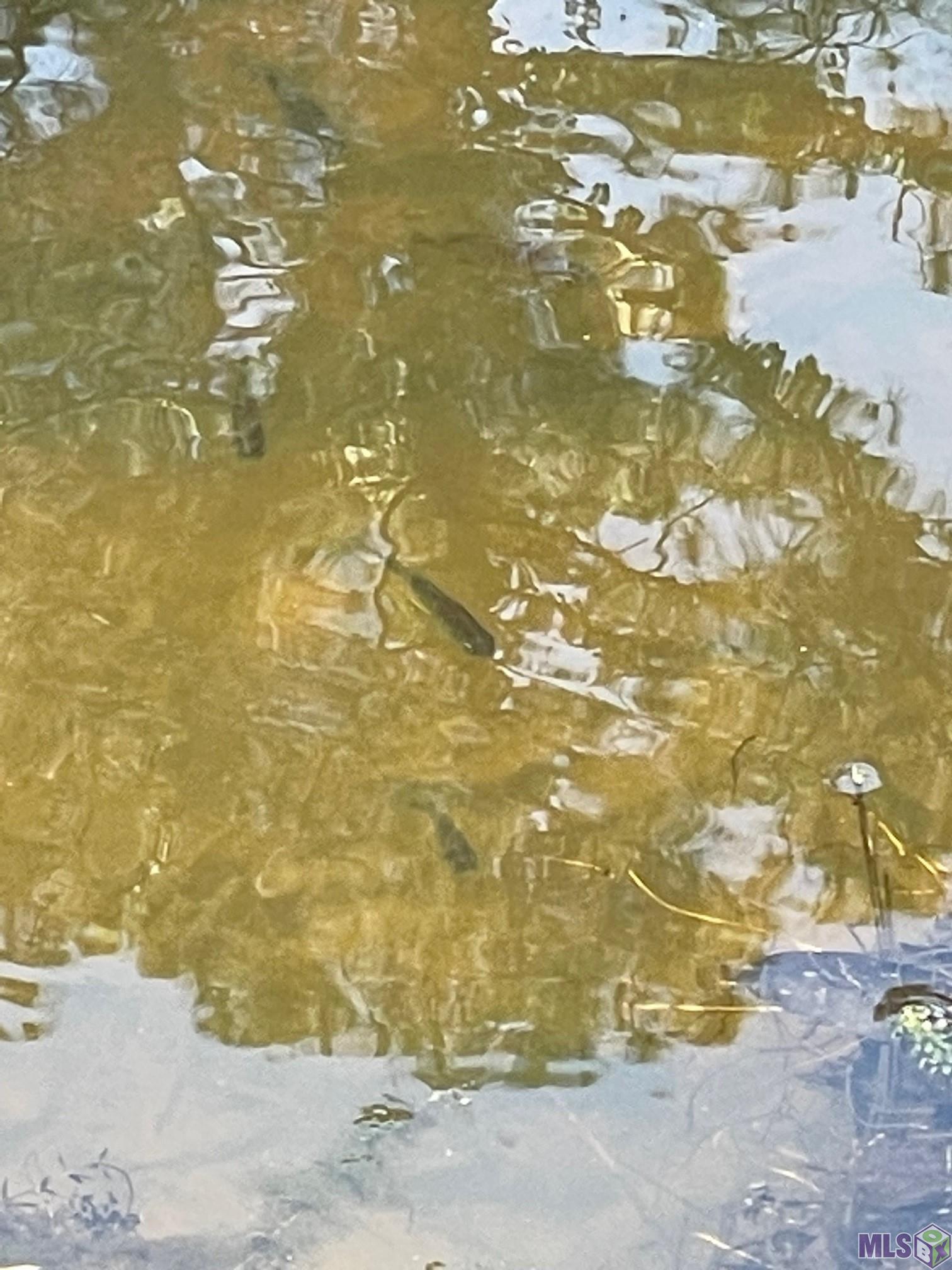 630 Rue Crozat Baton Rouge, LA 70810 - Photo 35 of 46 Fish in Creek