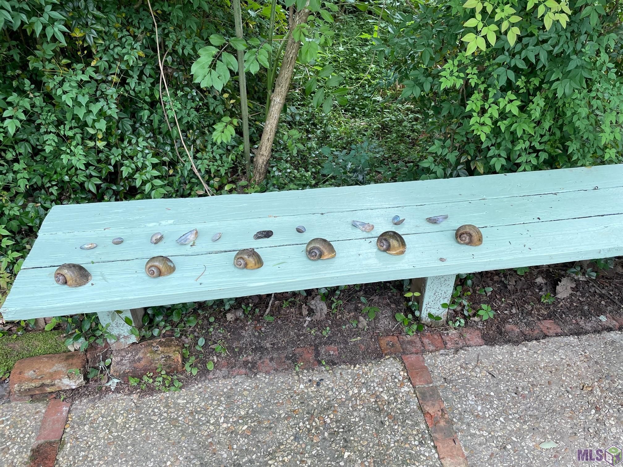 630 Rue Crozat Baton Rouge, LA 70810 - Photo 5 of 46 Creekside Sitting Area w/ Snails & Clams from Creek