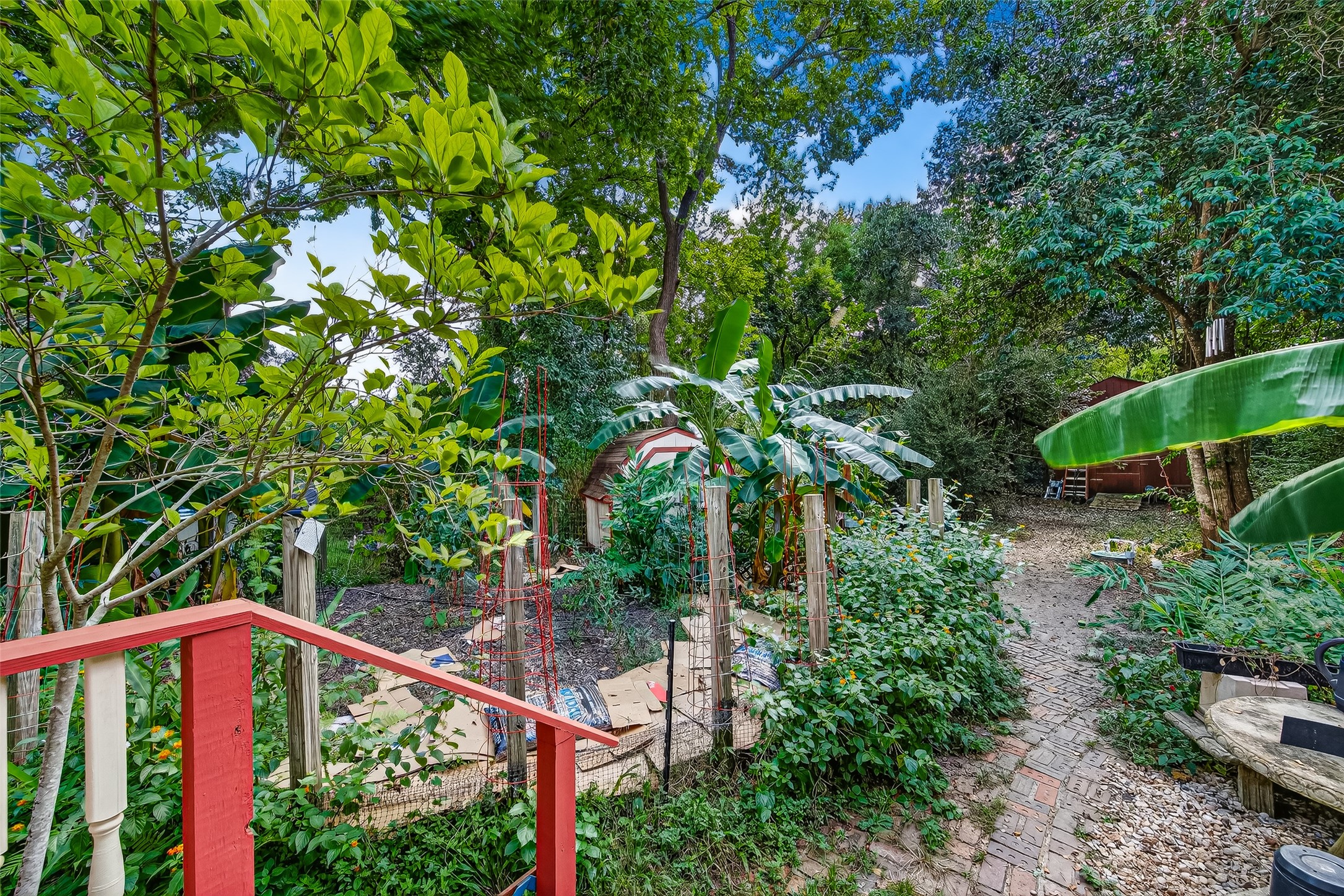10116 Brighton Lane Houston, TX 77031 - Photo 43 of 50 a view of a small yard with wooden fence