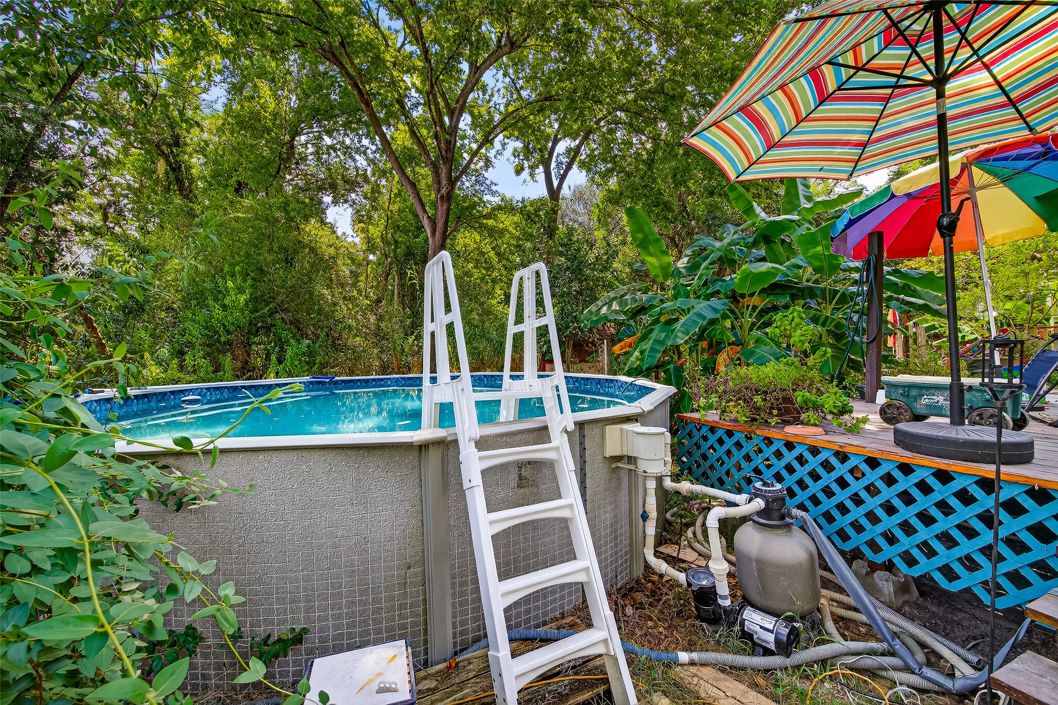 10116 Brighton Lane Houston, TX 77031 - Photo 46 of 50 a view of roof deck with wooden fence and flowers