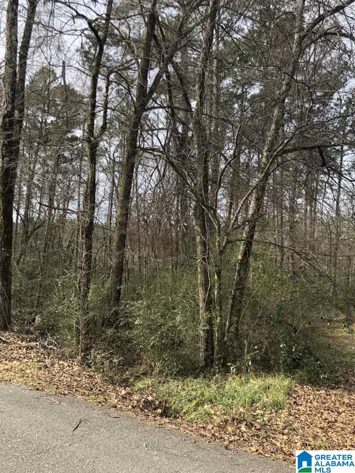74 Dunstans Mall Calera, AL 35040 - Photo 1 of 4