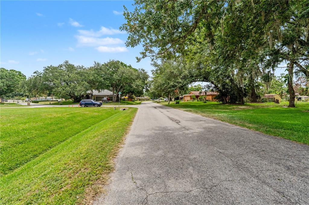 22244 Shoreside Drive Land O' Lakes, FL 34639 - Photo 6 of 8
