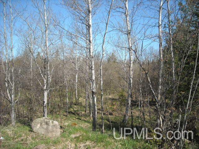Tbd County Trunk C Road, Unit 500 Hurley, WI 54534 - Photo 3 of 4