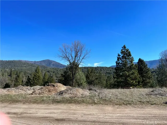 a view of a yard with a tree
