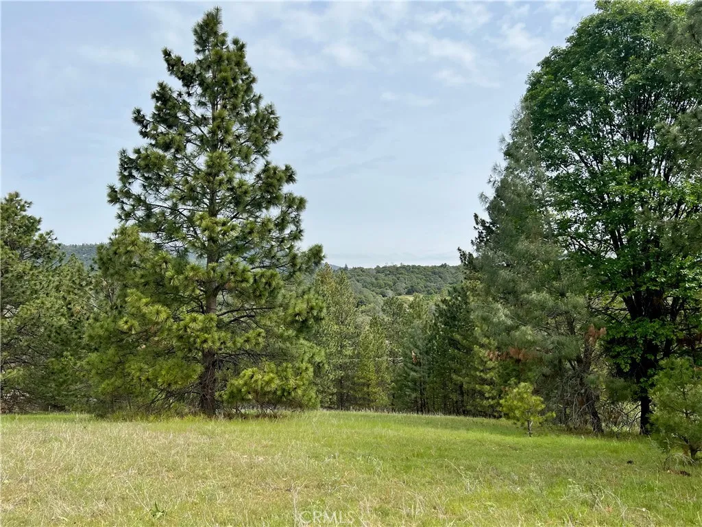 0 Watt Mariposa, CA 95338 - Photo 3 of 16 a view of a yard with a trees