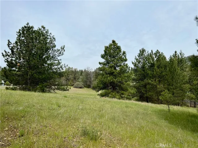 a yard with a house in the background