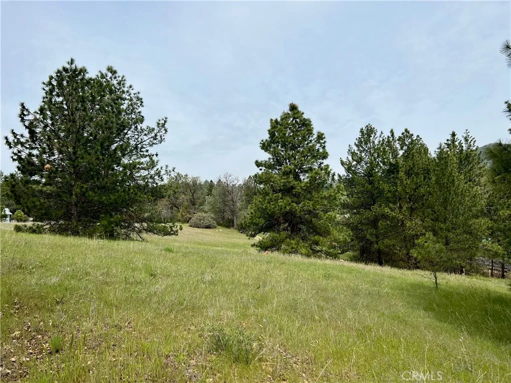 0 Watt Mariposa, CA 95338 - Photo 4 of 16 a yard with a house in the background