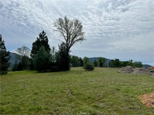 a view of a field with trees in the background