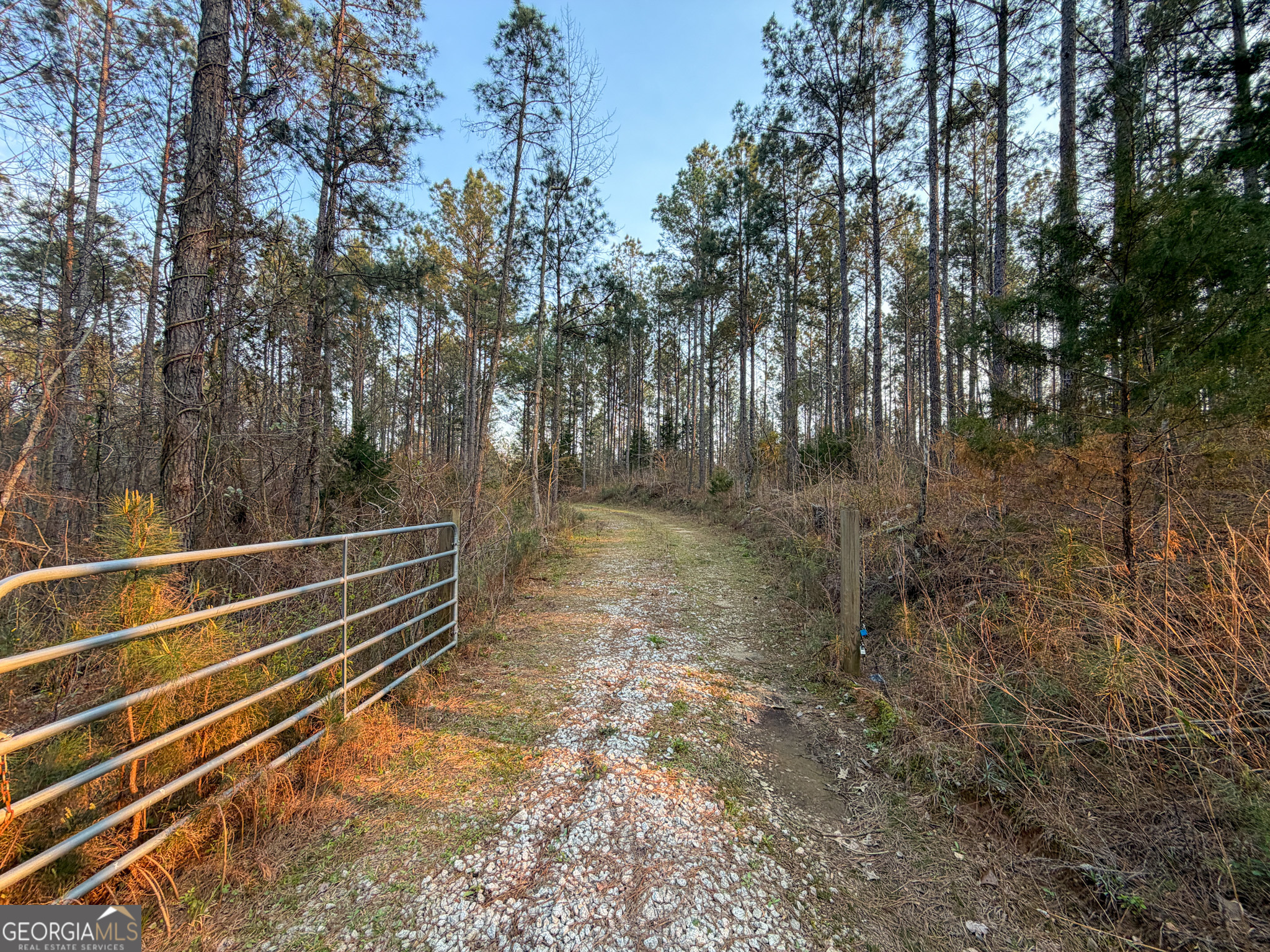 117 Acres On Mccosh Mill Road Franklin, GA 30217 - Photo 7 of 24