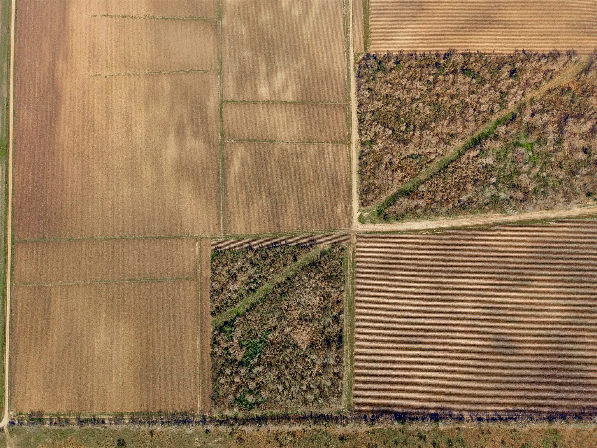 Tbd Buls Road East Bernard, TX 77435 - Photo 7 of 17